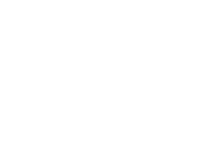 A Força do Querer — Logos 1