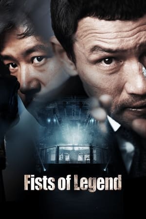 Poster Fists of Legend (2013)