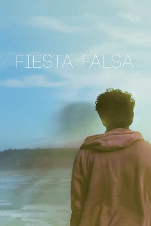 Poster Fiesta falsa 2013