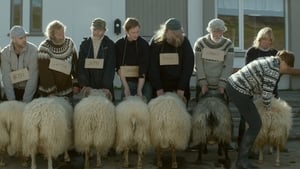 Rams – Storia di due fratelli e otto pecore (2015)