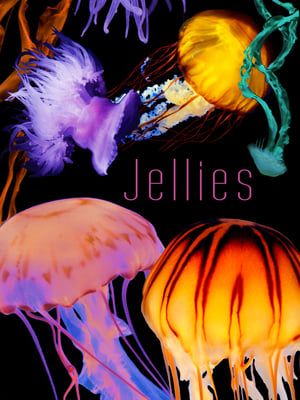 The Art of Nature: Jellies