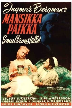 Mansikkapaikka