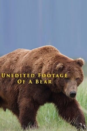 Image 一头熊的未剪辑影像