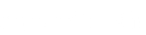 Ảnh 13