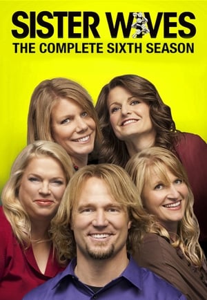 Sister Wives: Stagione 6