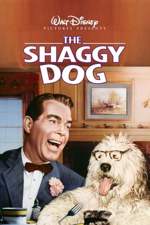 The Shaggy Dog The Shaggy Dog