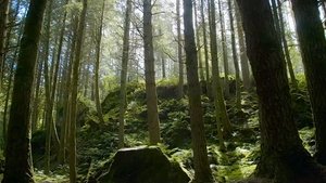 Episode 1 -Spring