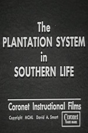 The Plantation System in Southern Life