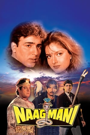 Poster Naagmani 1991