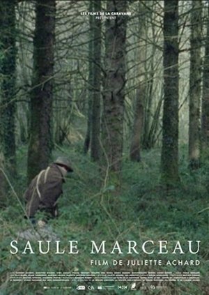 Nonton film Saule Marceau (2017) terbaru sub indo Nonton film Saule Marceau (2017) terbaru sub indo