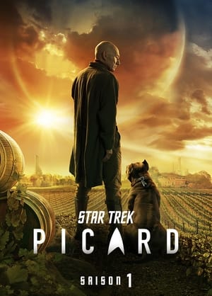 Star Trek : Picard - Saison 1 - poster n°1