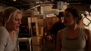 Longmire 2 x 5