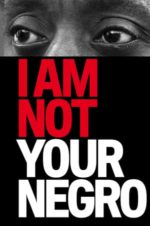 I Am Not Your Negro 2017