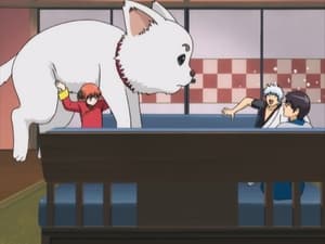 Gintama: 1×10