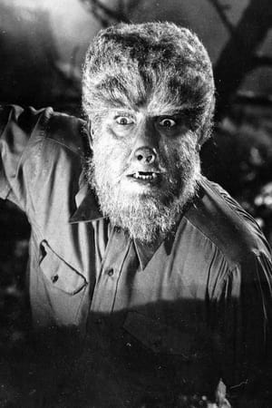 Poster The Wolf Man 1966