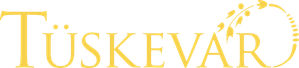 Tüskevár — Logos 2