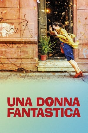 Poster Una donna fantastica 2017