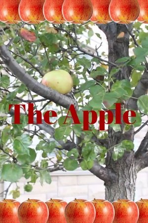 Image The Apple