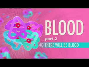 Crash Course Anatomy & Physiology Blood, Part 2 - There Will Be Blood