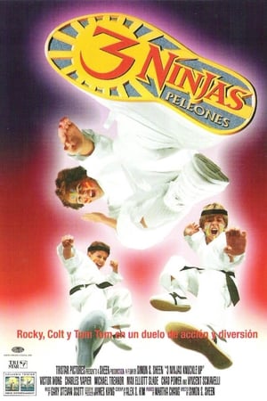 Poster 3 Ninjas Peleones 1995