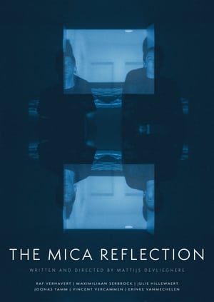 The mica reflection film complet