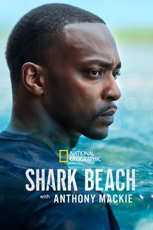 Poster Shark Beach with Anthony Mackie 2024
