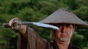 Độc Lang Phụ Tử 3 - Lone Wolf And Cub: Baby Cart To Hades (1972)