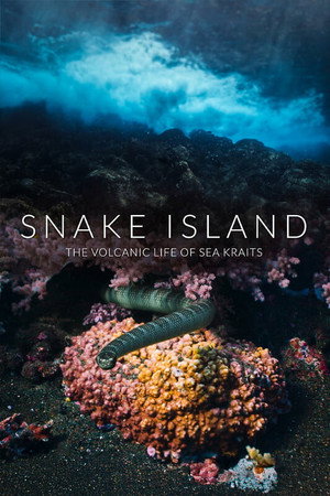 Snake Island: The Volcanic Life of Sea Kraits (2026)