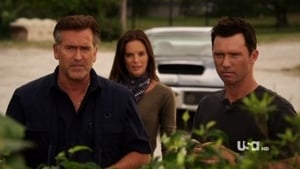 Burn Notice: 5×7