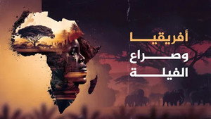 أفريقيا وصراع الفيلة