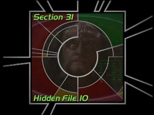 Image Section 31: Hidden File 10 (S04)