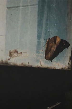 Nonton film Memoir (2021) terbaru sub indo Nonton film Memoir (2021) terbaru sub indo