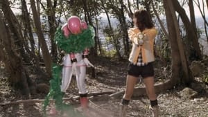 Tensou Sentai Goseiger Epic 9: Gotcha☆Gosei Girls