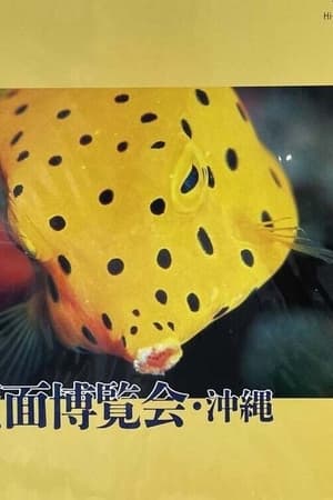 Fish Face At A Sea Exhibition in Okinawa