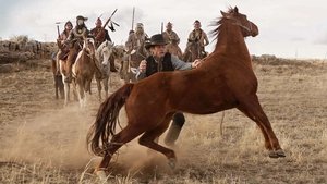 The Homesman (2014)