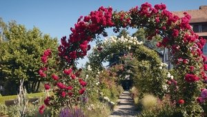 The English garden