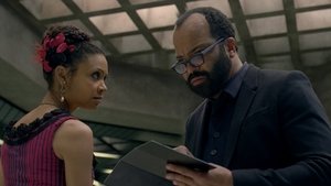 Westworld – Dove tutto è concesso – 1 stagione 9 episodio