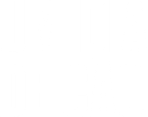 Um Dia de Cão