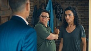 Ganzer halber Bruder Online En Netflix