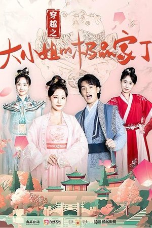 穿越之大小姐的极品家丁