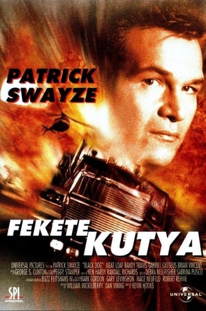 Poster Fekete kutya 1998