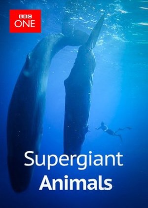 Poster Supergiant Animals (2013)