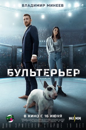 Bullterrier 5