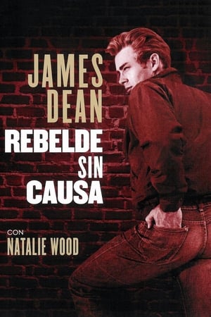 pelicula Rebelde sin causa (1955)
