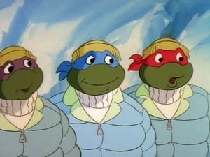 Teenage Mutant Ninja Turtles: 7×3