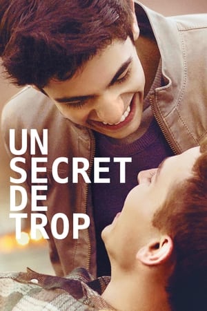Poster Un secret de trop 2015