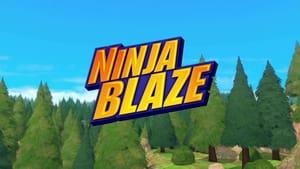 Image Ninja Blaze