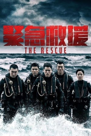 Poster The Rescue 2020