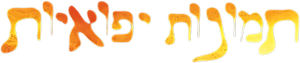 תמונות יפואיות — Logos 1