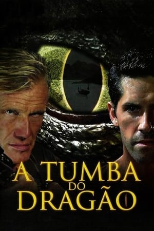 Poster A Tumba do Dragão 2013